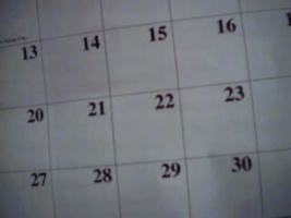 Calendar Segment